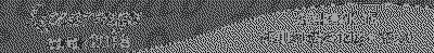 baner lazarraga baner lazarraga