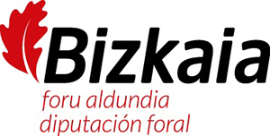 Bizkaia-DFB_logotipo-horizontal-1.jpg